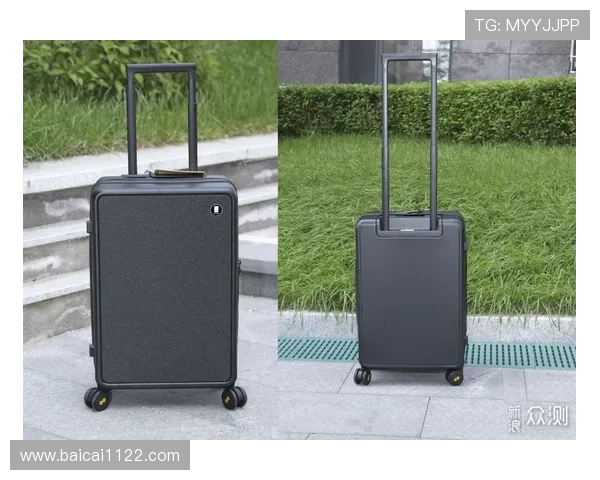 城市频道直播：实时追踪都市脉搏与民生动态